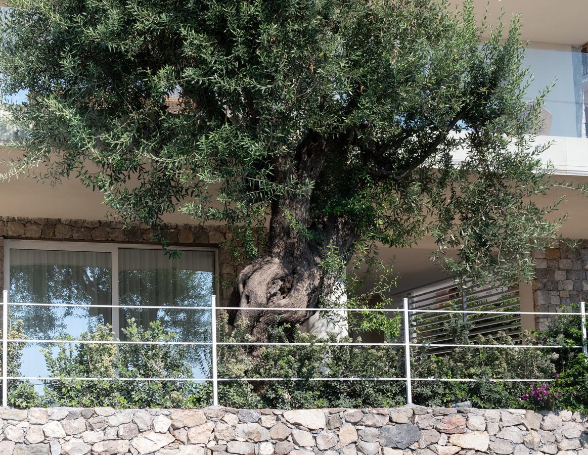 Lejlighedshotel Iancu Charme